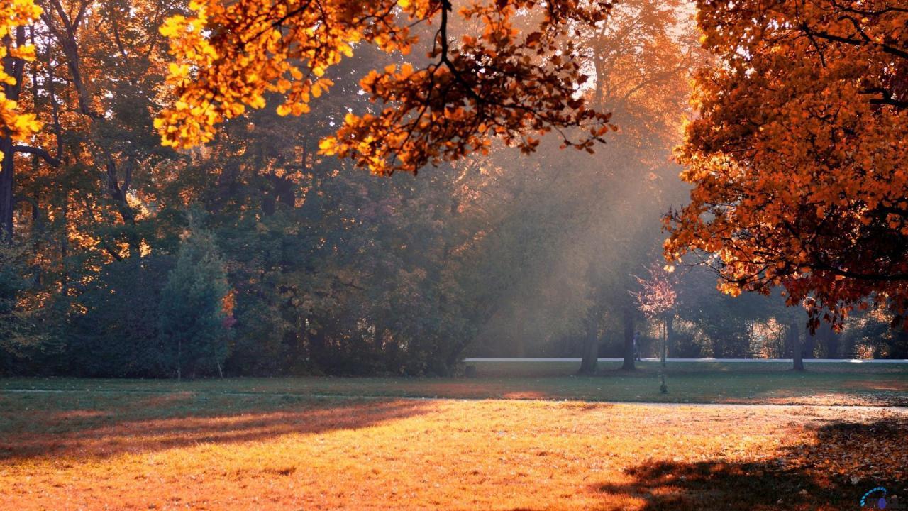 Warm Nature Wallpapers - Top Free Warm Nature Backgrounds - WallpaperAccess Warm Nature Wallpapers - Top Free Warm Nature Backgrounds - WallpaperAccess