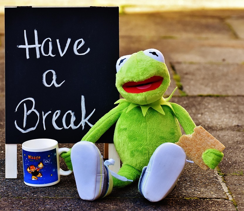 Free photo: Kermit, Cup, Drink Coffee, Break - Free Image on Pixabay ...